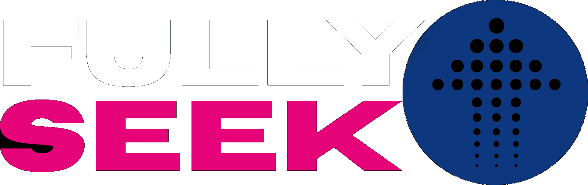 Fully Seek logo